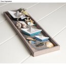 Deko Muscheln im Korb, 10,5 cm ø, sortiert, 1 Set