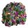 Sweet November Stamps, Sequins: Dragons Treasure Mix