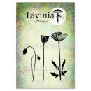Lavinia Stamps, clear stamp - Group Poppies