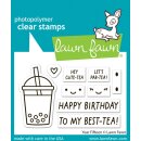 Lawn Fawn, clear stamp, year fifteen