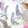 Pinkfresh Studio, press plate, Bluebonnet Bliss
