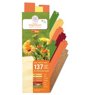 papier + ideen, 3D Quilling Kit Ringelblumen