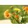 papier + ideen, 3D Quilling Kit Ringelblumen