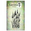 Lavinia Stamps, clear stamp - Meadow Grass