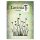 Lavinia Stamps, clear stamp - Fairy Buttercups