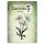 Lavinia Stamps, clear stamp - Dandelions 2