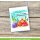 Lawn Fawn, lawn cuts/ Stanzschablone, stitched seashells