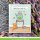 Lawn Fawn, clear stamp, keep on swimming add-on