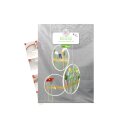 papier + ideen: Quilling Inspiration, Blumenringe
