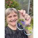 Hanne Olesen, Quilling Anleitung - Trauben