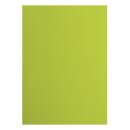 Florence, Tonkarton 216 g Glatt A4 Lime 10 x