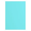 Florence, Tonkarton 216 g Glatt A4 Sky 10 x