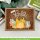 Lawn Fawn, Lawn Clippings, woodgrain stencils