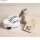 Transfer, Rub on: Flower Cat Home, verschiedene Designs, 3 Bogen