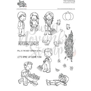Sweet November Stamps, clear stamp, Fall Gathering