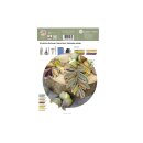 papier + ideen: Quilling Anleitng, Eichenblatt