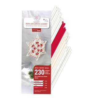 papier + ideen: Quilling KIT, Stern des Jahres 2025, Scandic
