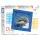 Pixel Hobby, Pixel Geschenkbox - Delfin