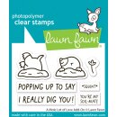 Lawn Fawn, clear stamp, a mole lot of love add-on