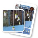 Hanne Olesen, Quilling Ideenseite 3D Schneeglöckchen