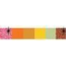 Quilled Creations, Paper Stripes, Autumn Colors Quilling...