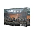 Warhammer 40.000, Astra Militarum, Death Korps of  Krieg/...