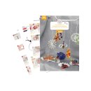 papier + ideen: Quilling Anleitung, Maxiquilling Sommerwiese