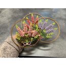 Dommerby Papir, Quilling Anleitung - Lupinen