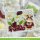 Lawn Fawn, lawn cuts/ Stanzschablone, scripty hello outline add-on