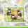 Lawn Fawn, lawn cuts/ Stanzschablone, build-a-bee