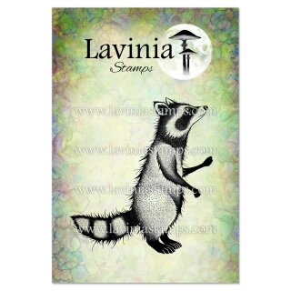 Lavinia Stamps, clear stamp - Tumble