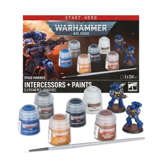 Warhammer 40.000. Space Marines, Intercessors + Paints