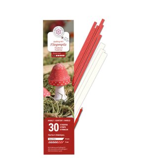 papier + ideen, Quilling KIT, 3D Fliegenpilze