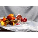 papier + ideen: Quilling Anleitung, Fliegenpilz Leuchten