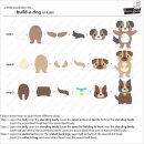 Lawn Fawn, lawn cuts/ Stanzschablone, build-a-dog